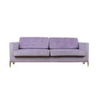 Small Apartment Velvet Fabric Living Room Modern Sofa Unified Decoration