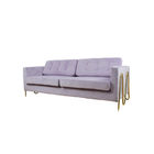 Small Apartment Velvet Fabric Living Room Modern Sofa Unified Decoration